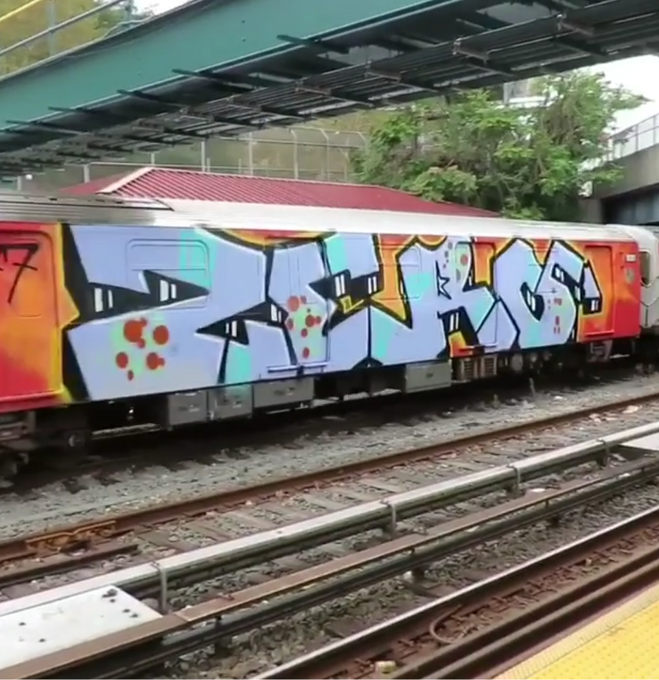 graffiti bombing train